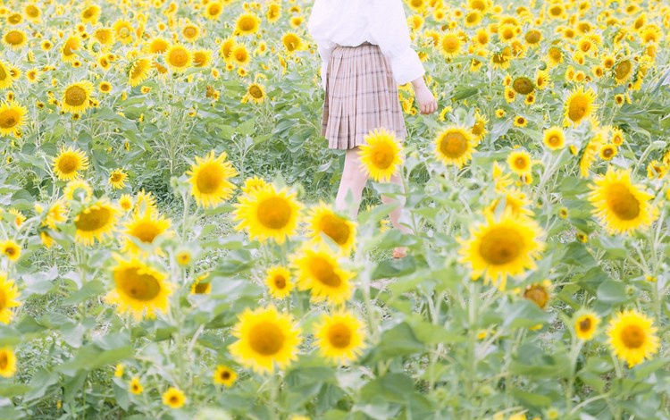 美胸长腿美女蔡文钰Angle最新写真