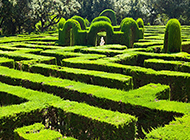 神奇的花园迷宫高清景色图片