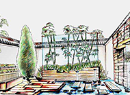现代化室外花园装修设计图
