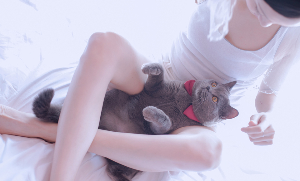 йڿѪŮѩLisaΨд