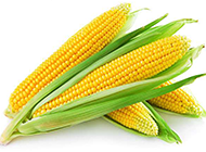 金灿灿的玉米高清图片素材