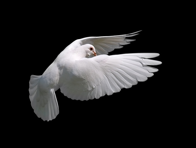 ɷеŸͼƬ