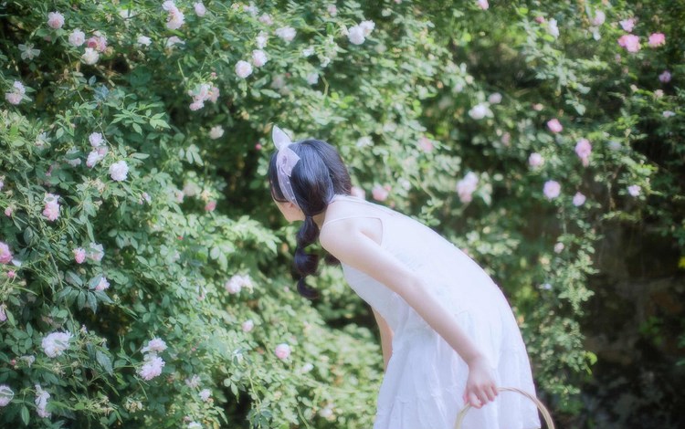 ̨beautylegģNanaԡд泤