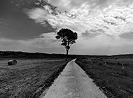 意大利美丽草原风景黑白摄影图片
