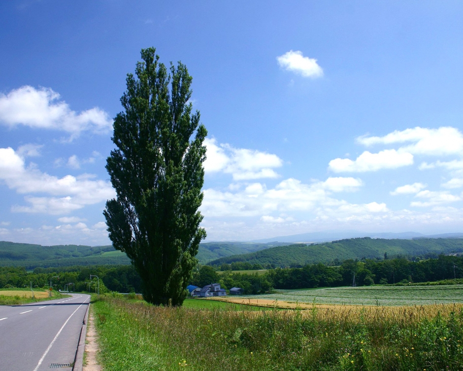 1024 ļ