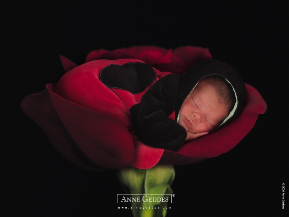 Anne ļ