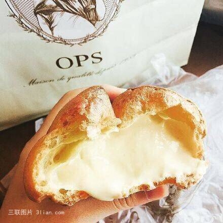 OPS֥ʿܽ
