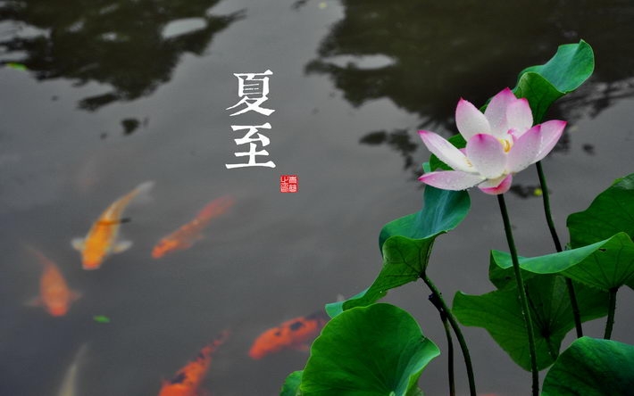 ʮĽֽ 1920x120024P