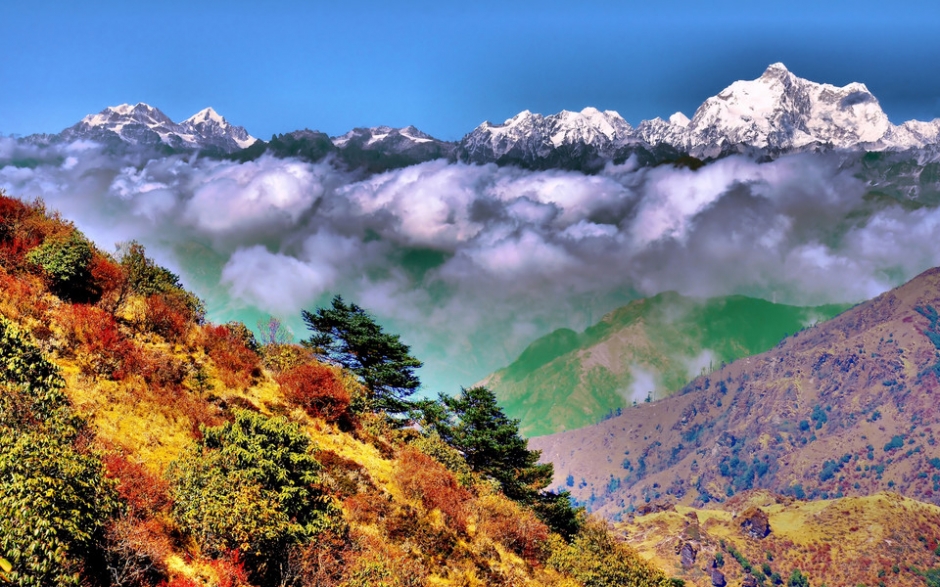 ϲţHimalaya)羰ֽ