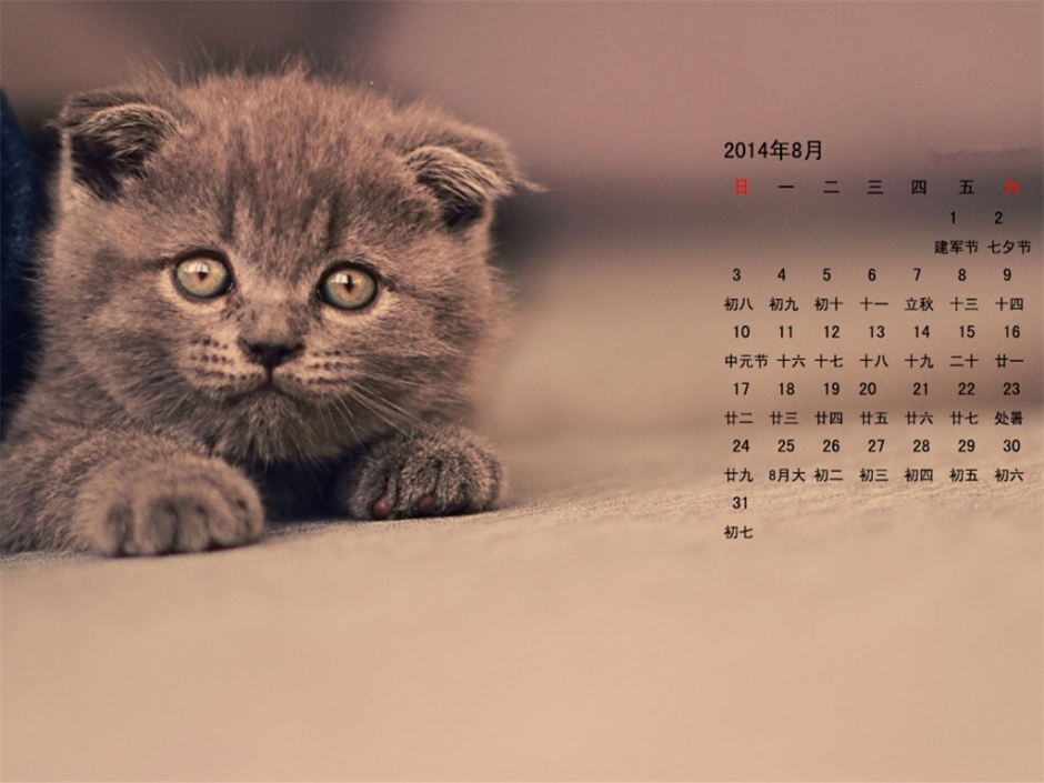 20148ΨȻֲŮֽֽ