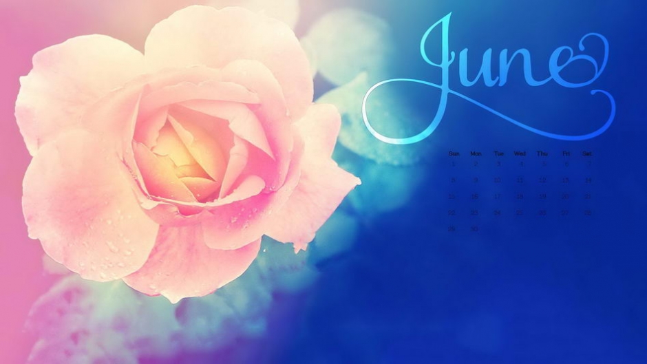 20146¾ѡֽ