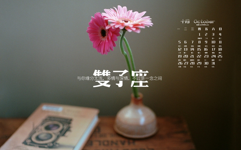 201510˫Ψ¼ͼƬֽ3