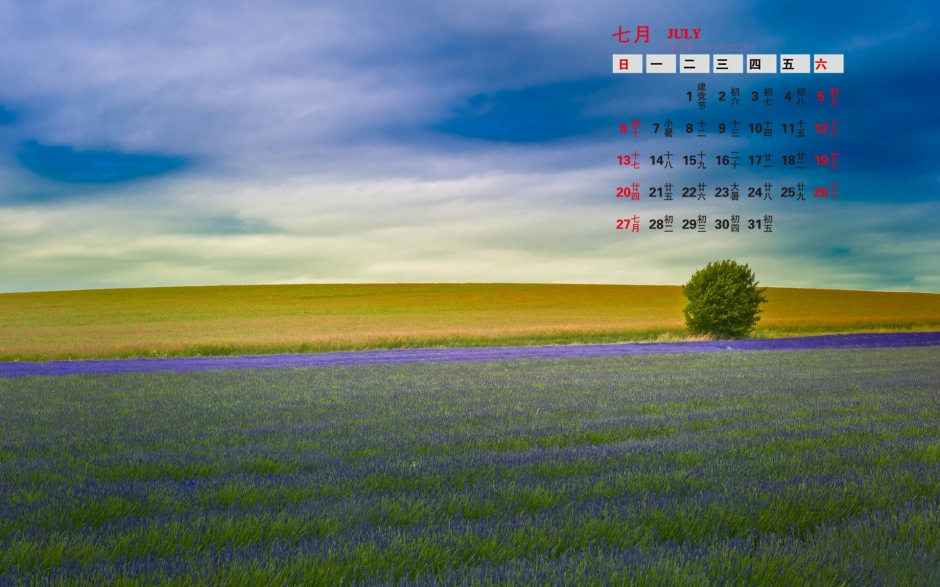 20147޹²ݸֽ