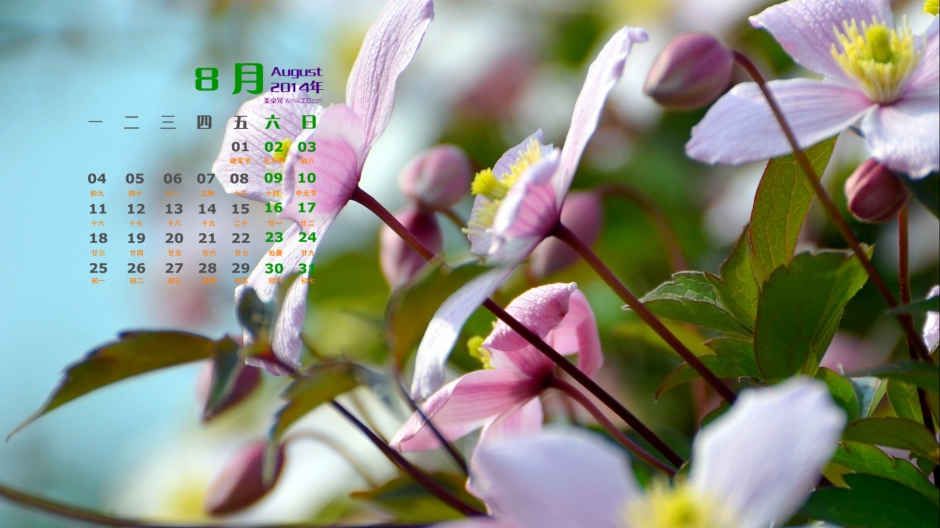 20148ֽȻΨ⾳ÿʻͼƬ