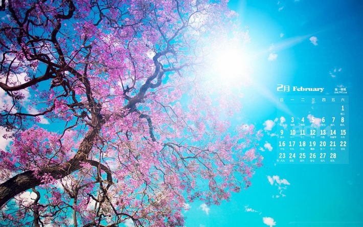 20142·羰ֽ