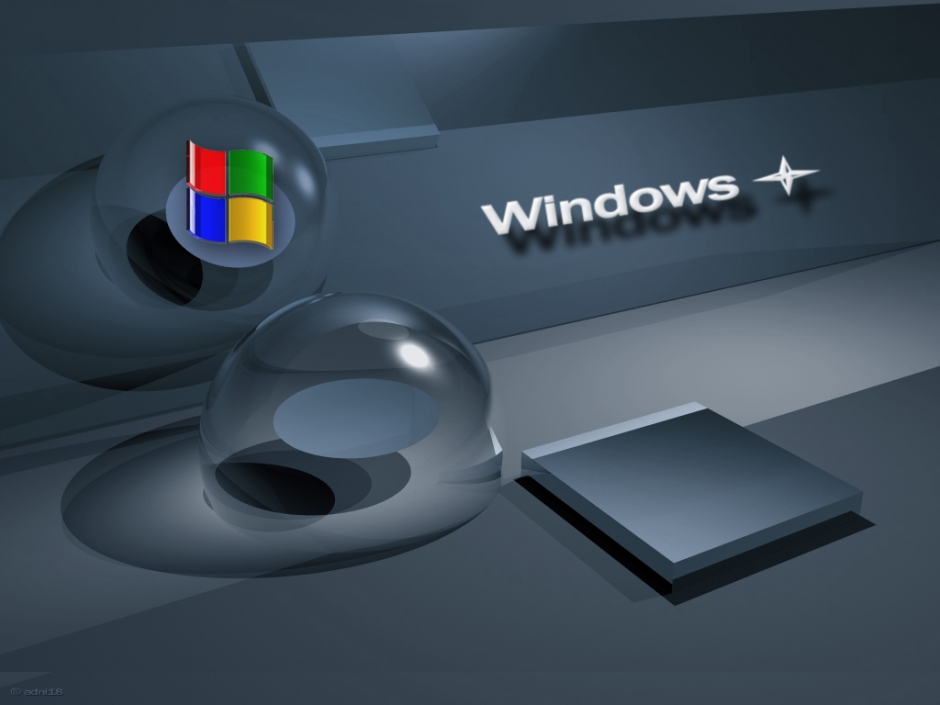 XP ڶ