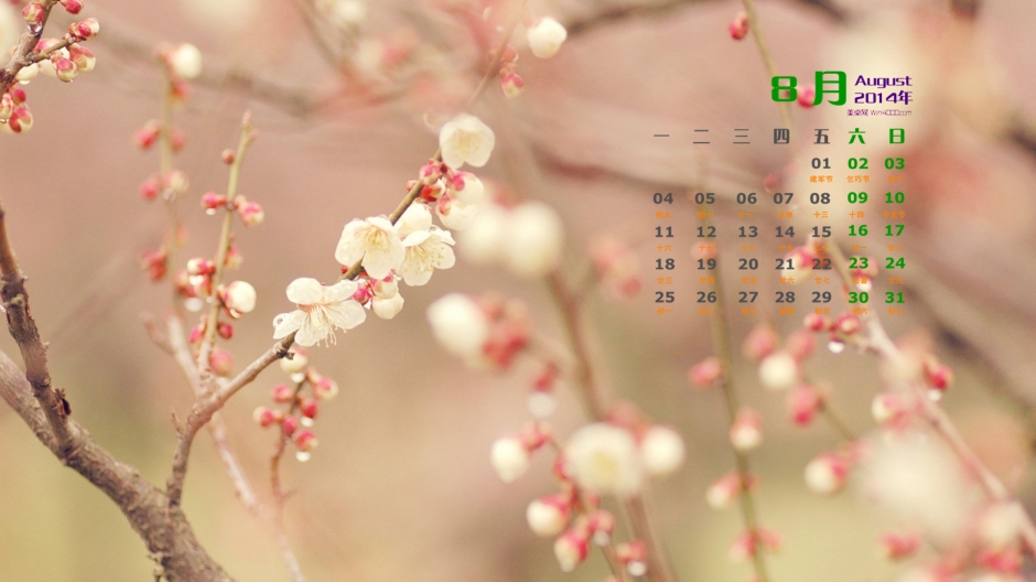 20148ֽȻΨ⾳ÿʻͼƬ