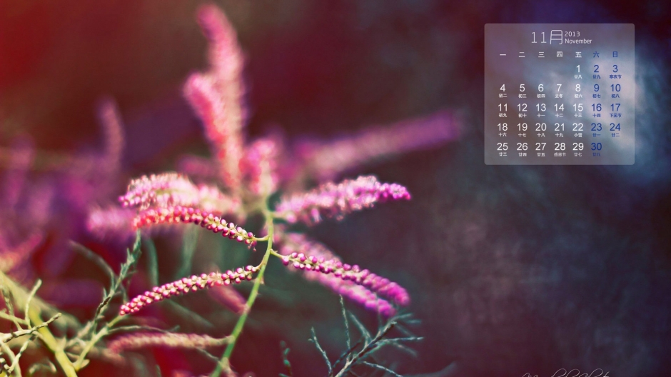 201311µΨ羰ֽ