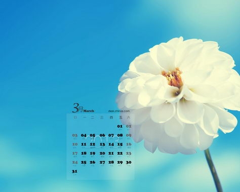 20133ֽ 1280x102419