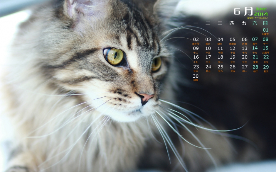 20146ɰֽ СèͼƬ