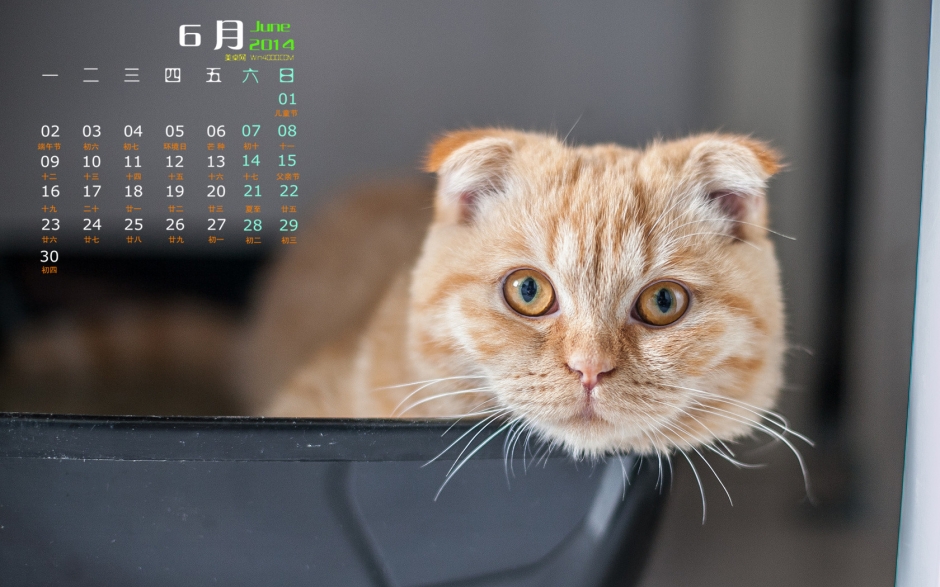 20146ɰֽ СèͼƬ