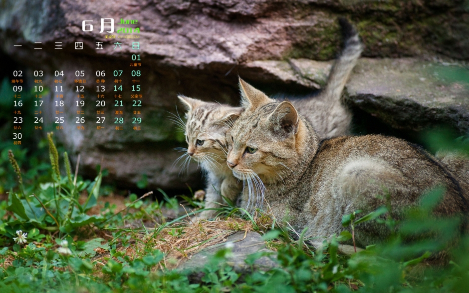 20146ɰֽ СèͼƬ