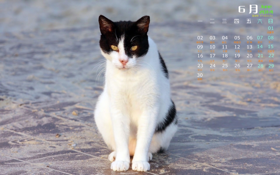 20146ɰֽ СèͼƬ