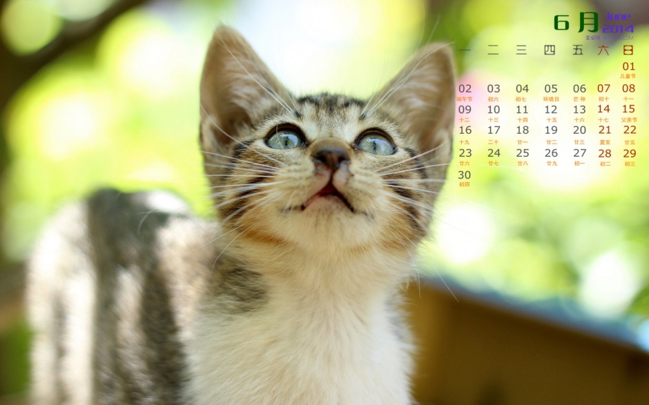 20146ɰֽ СèͼƬ