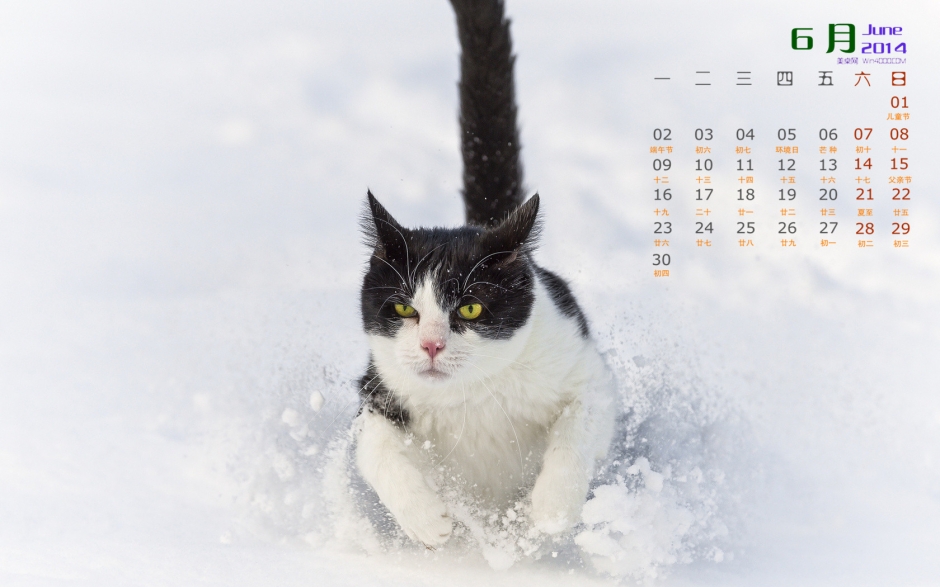20146ɰֽ СèͼƬ