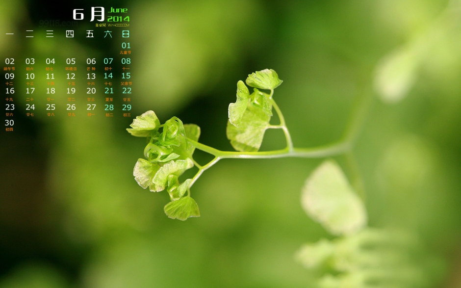 20146滤۱ֽҶͼƬ