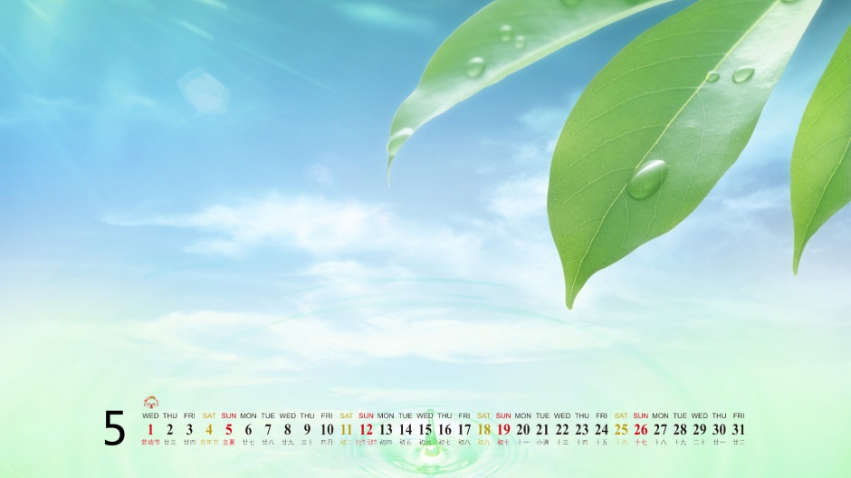 20135ֽ֮ɫ