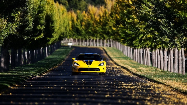 2014SRT Viper TAֽܳ