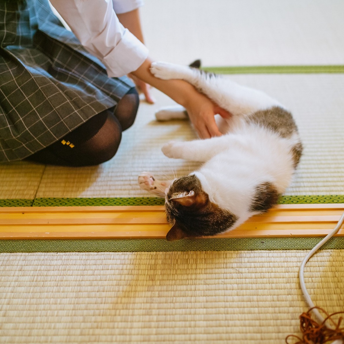 ˿ԸСҰèȤ˿ŮIreneŮд