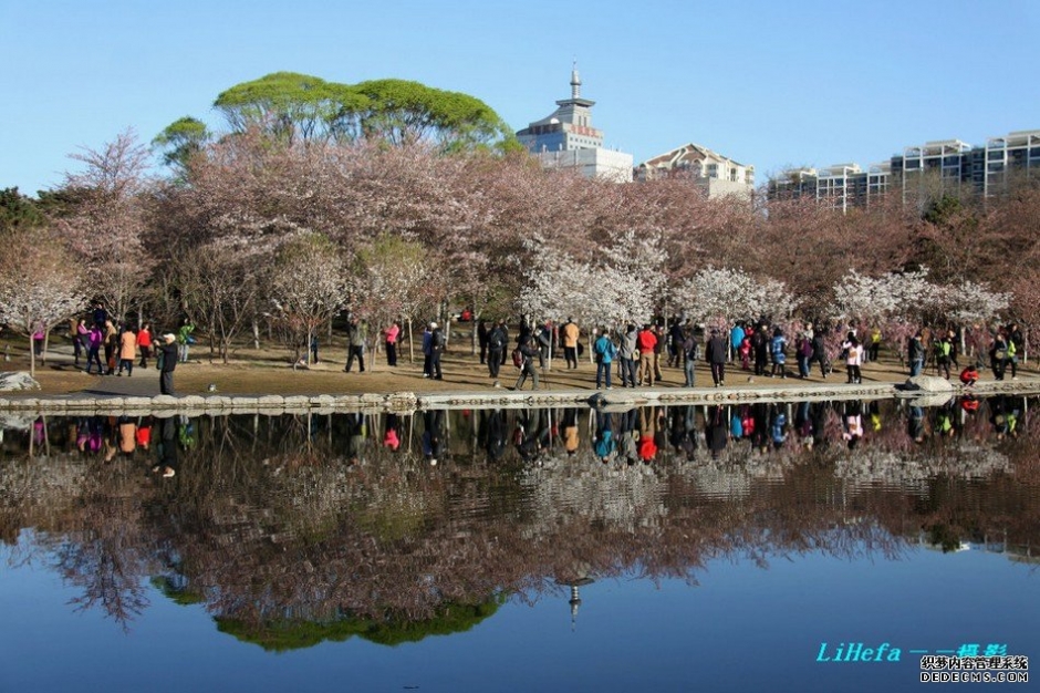 北京玉渊潭公园风景高清摄影图片
