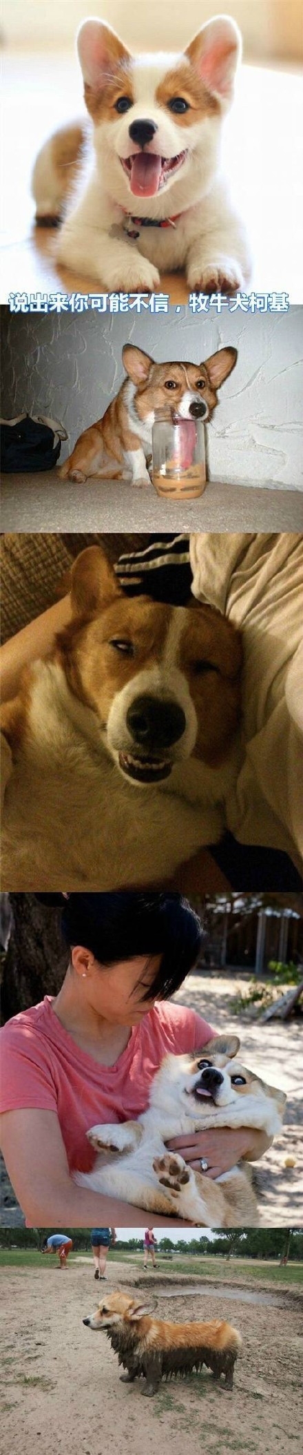 ȳ蹷ͼѡ