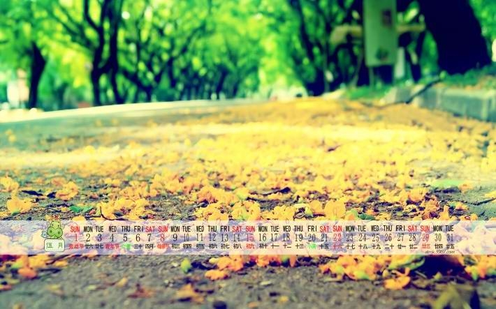 20165羰ֽ