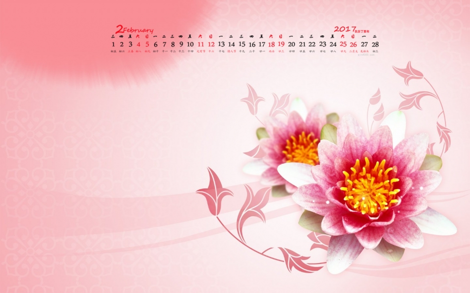 2017年2月唯美花朵日历壁纸  第二辑