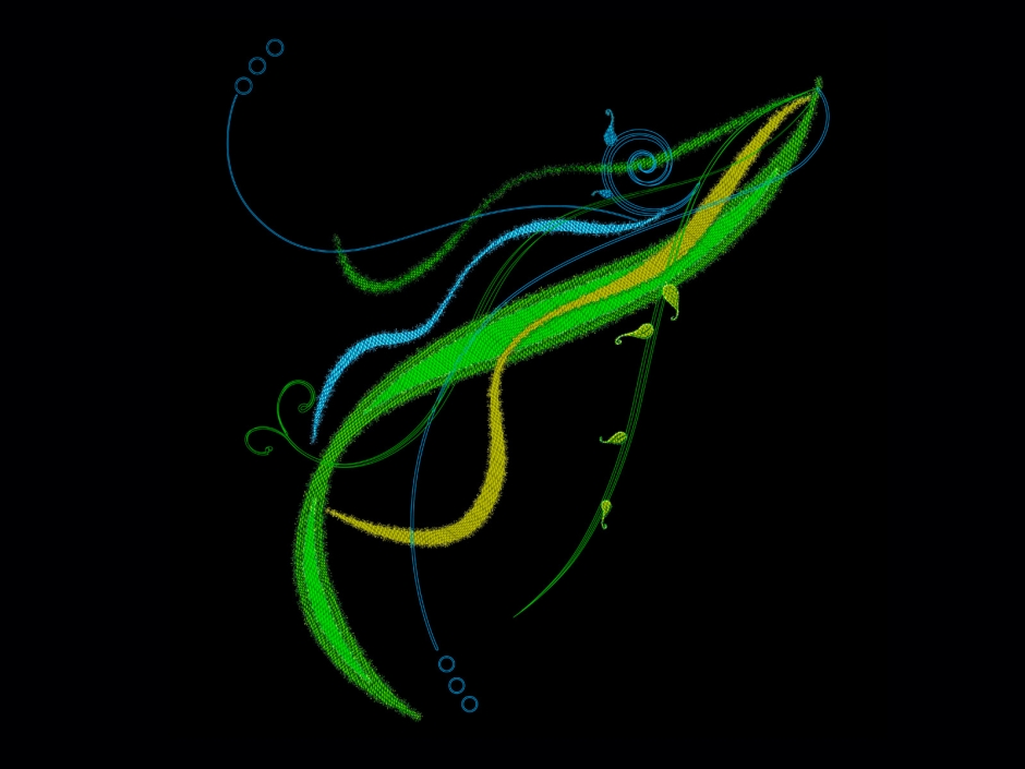 Ųʻ 