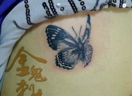 女孩子腹部好看的蝴蝶纹身图片