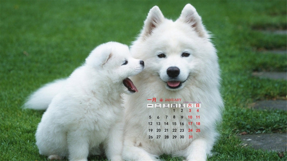 20151ֽĶĿɰСͼƬ һ