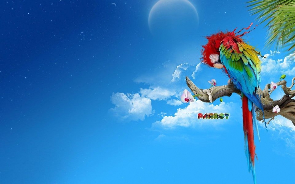 ɰʷĸֽ