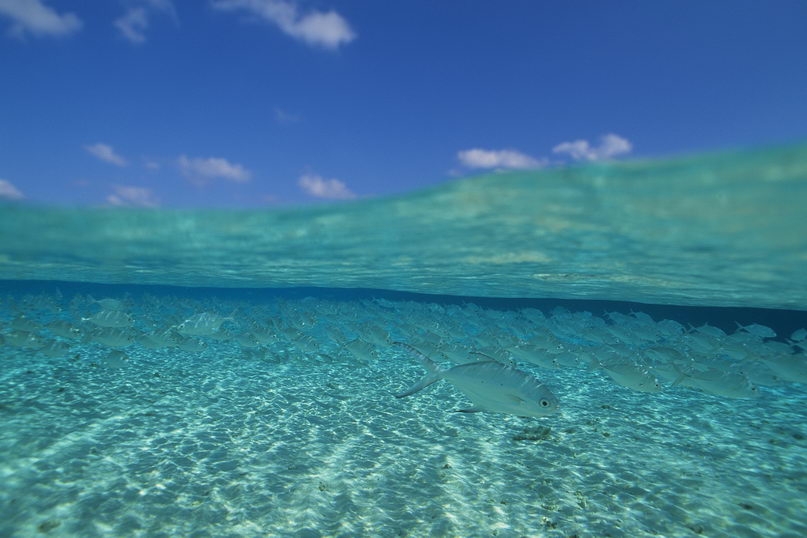 ǳˮֽ 2180X1453 18P