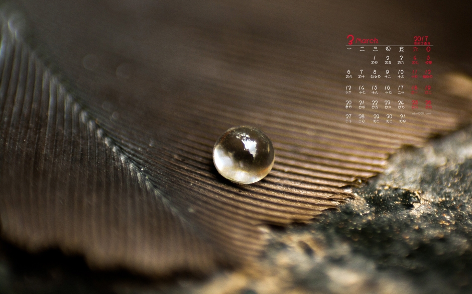 20173»ˮΨ⾳ֽ