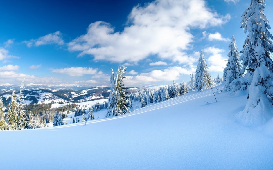 唯美冬季雪景图片电脑主题包下载