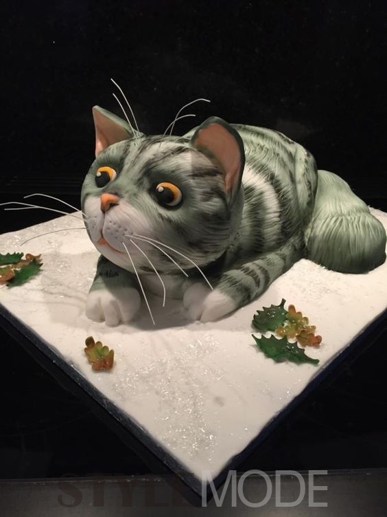 ȷ˵ġè䡱ʳ¿