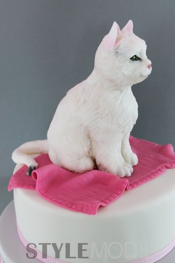 ȷ˵ġè䡱ʳ¿