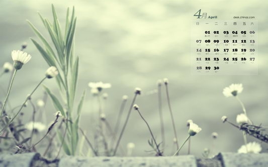 20134ֽ1440x90016