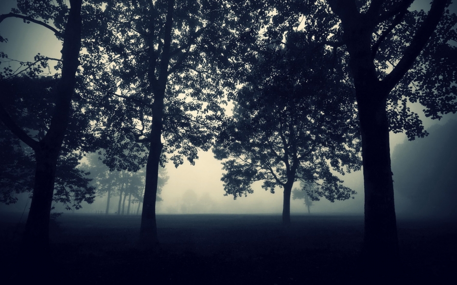 ɭֹӰֽ