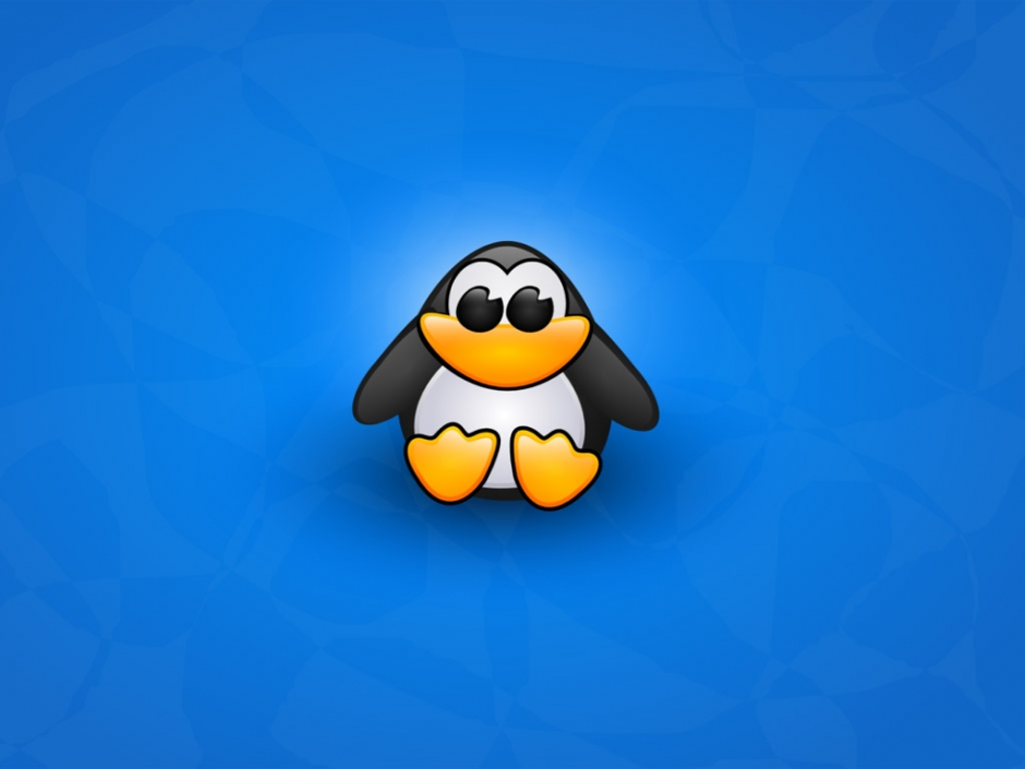 linux 