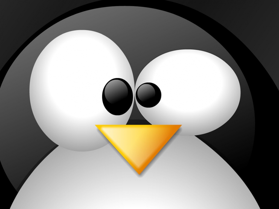 linux 